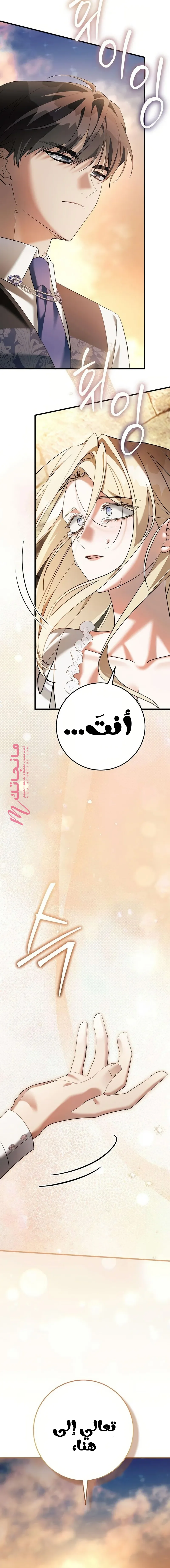الصفحة 25