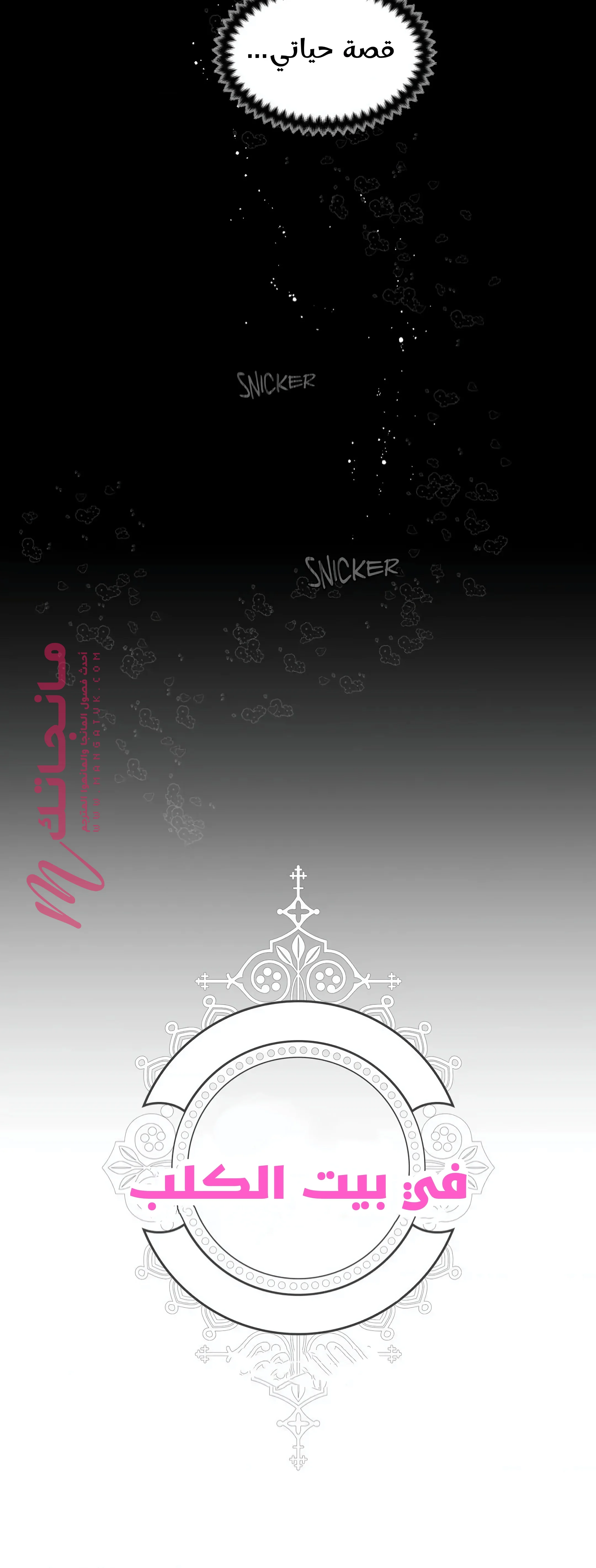 الصفحة 46
