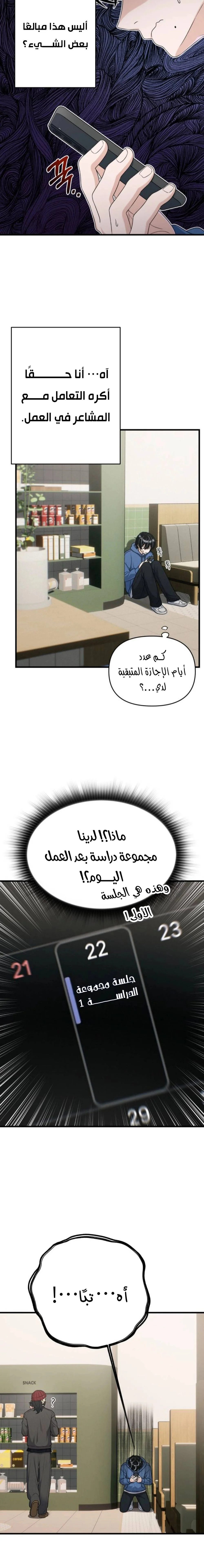 الصفحة 11