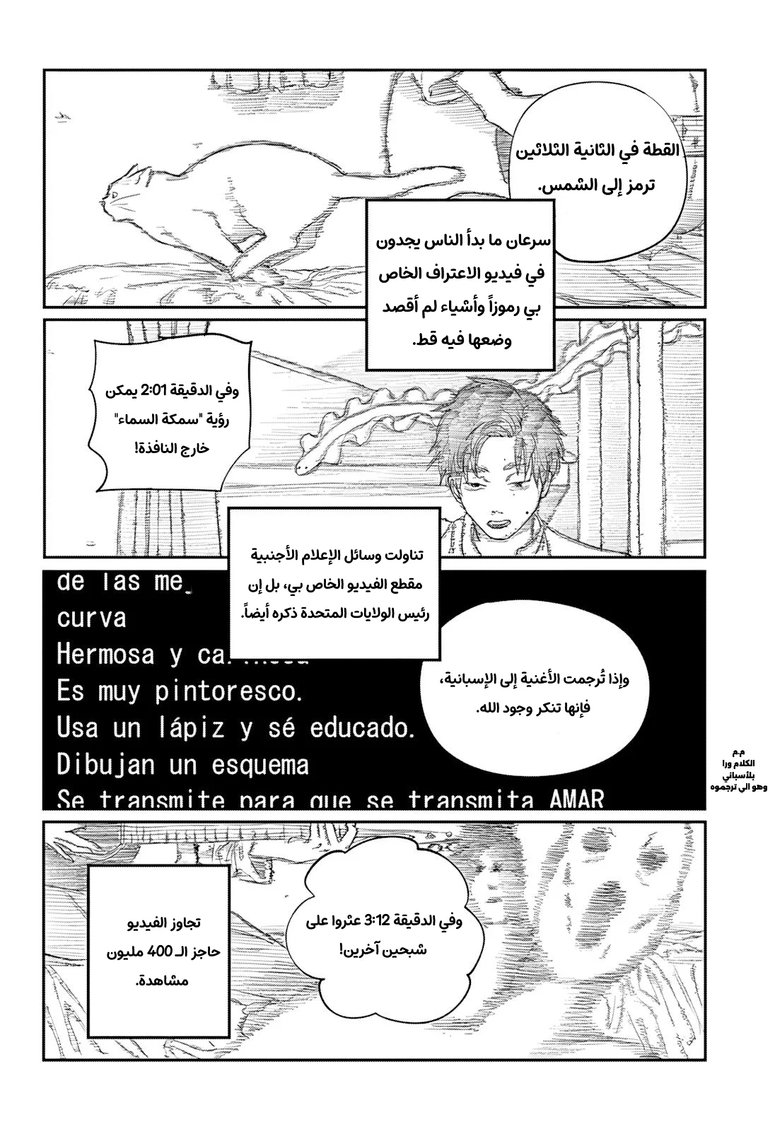 الصفحة 13