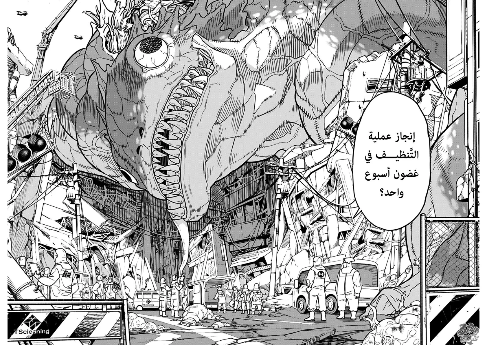 الصفحة 7
