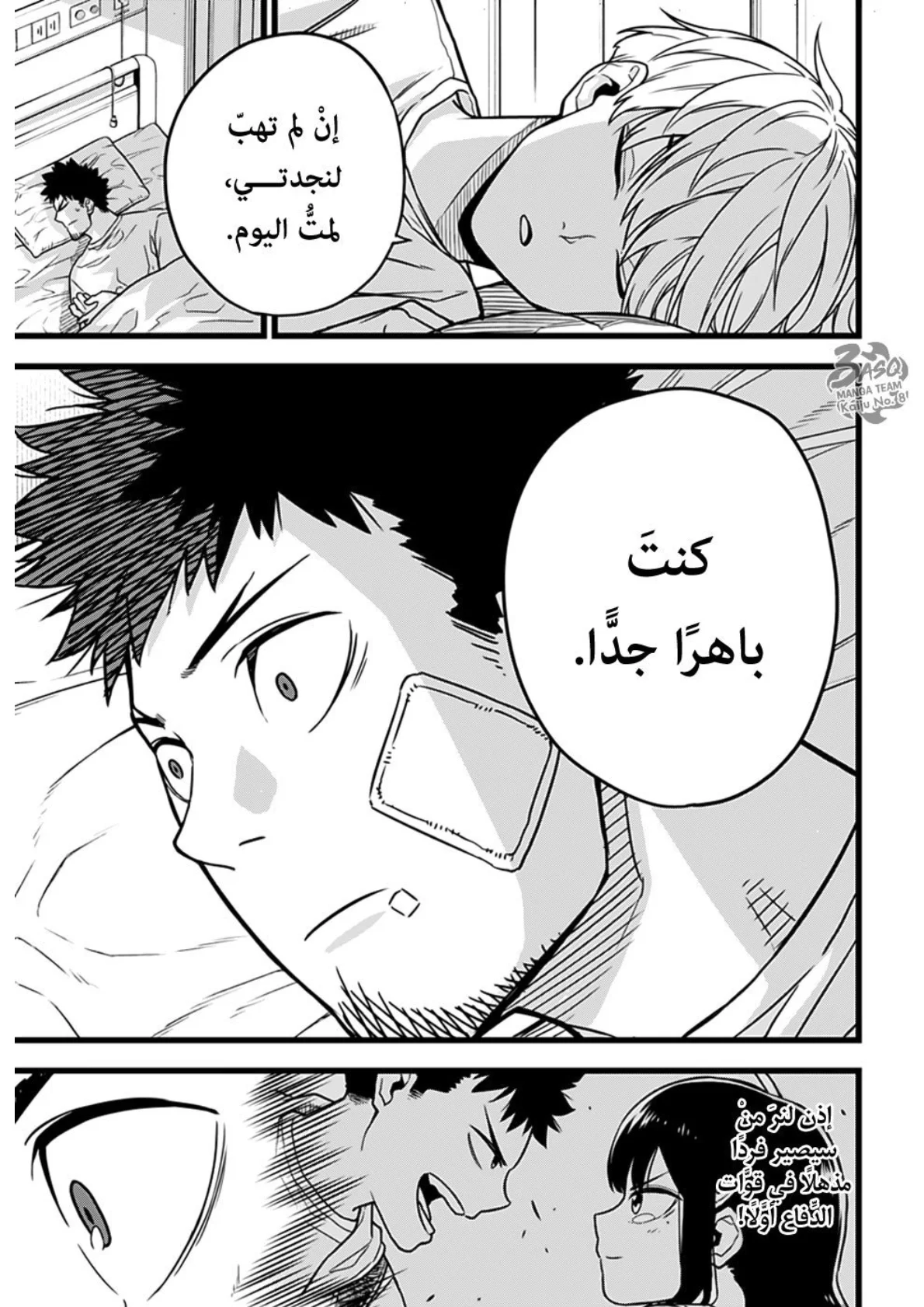 الصفحة 46