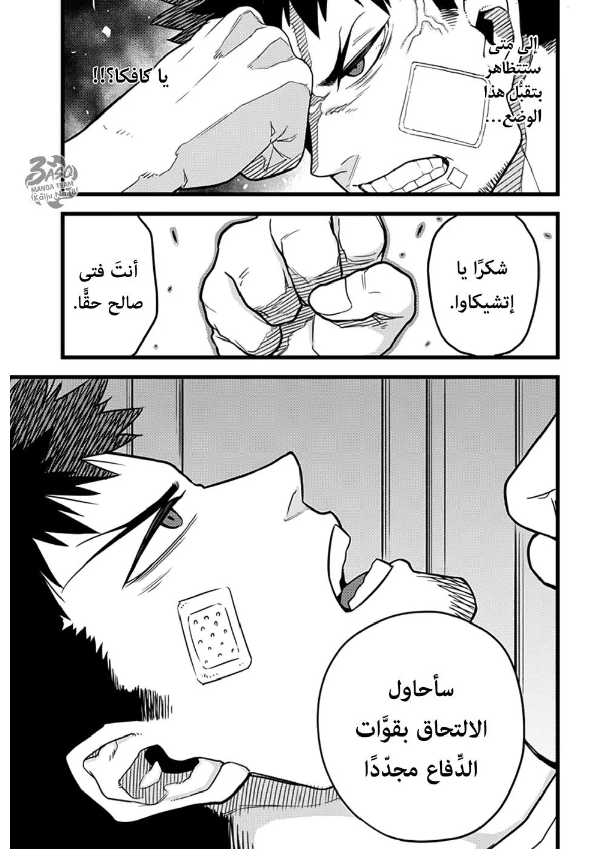 الصفحة 48