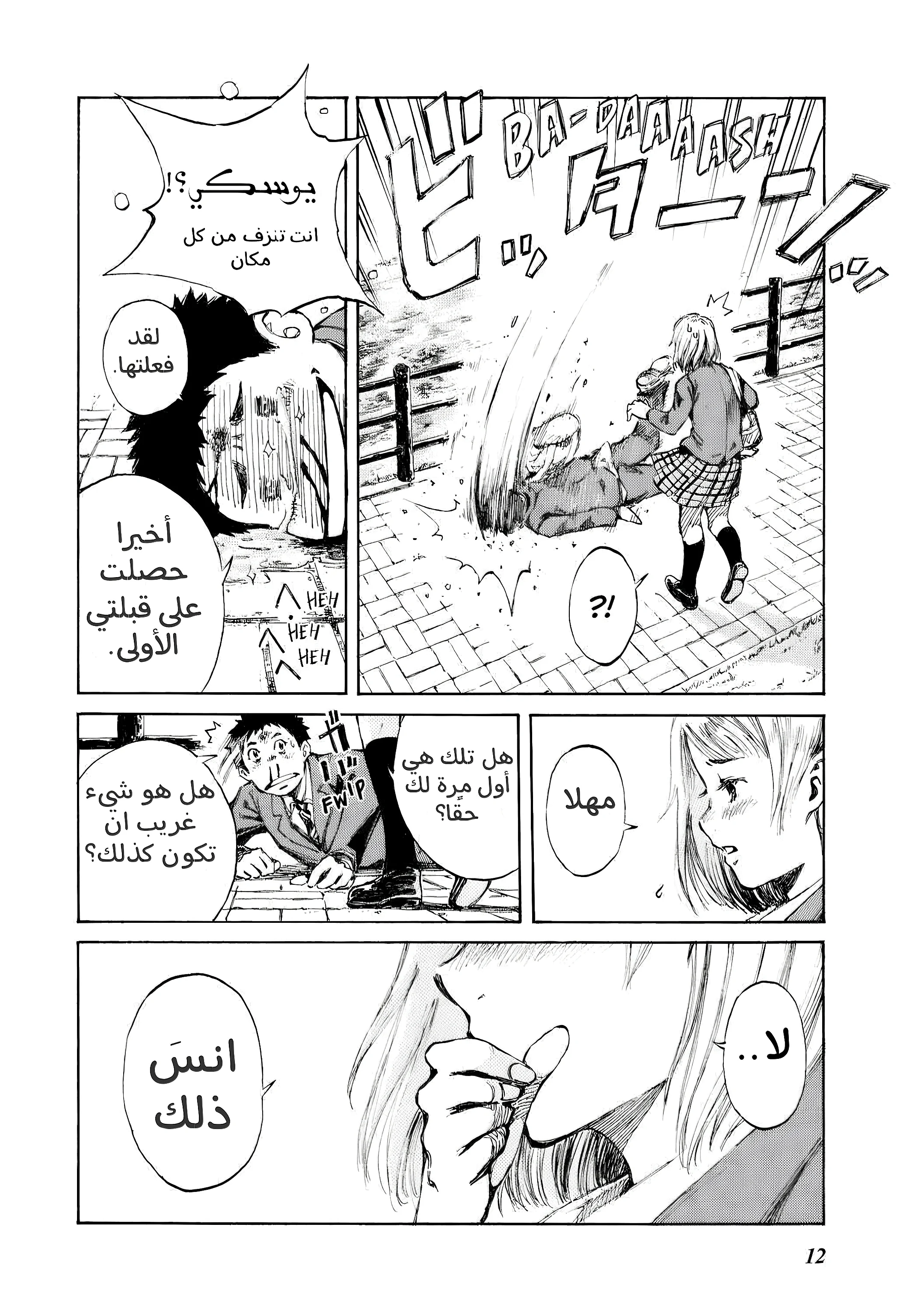 الصفحة 12