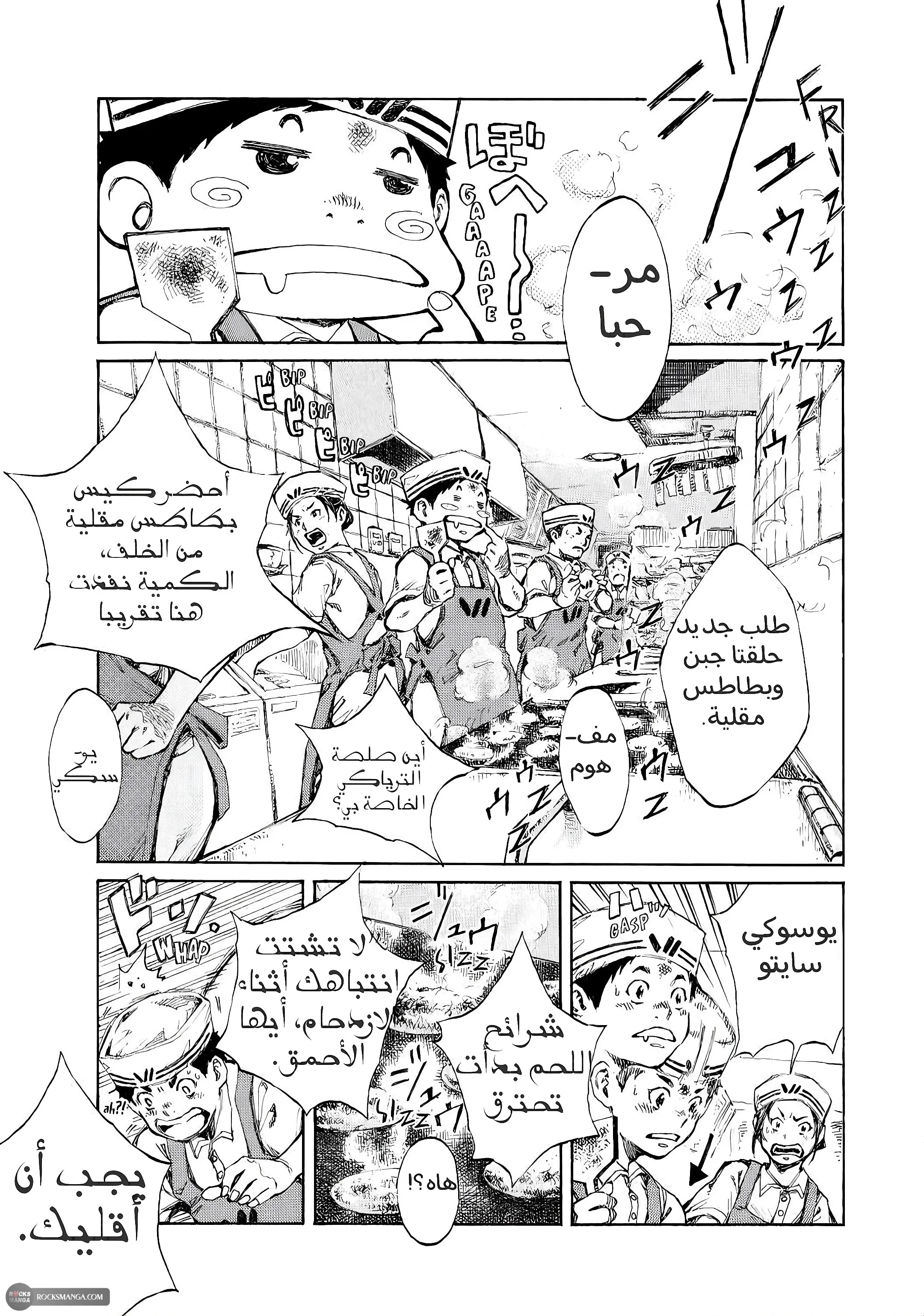 الصفحة 13