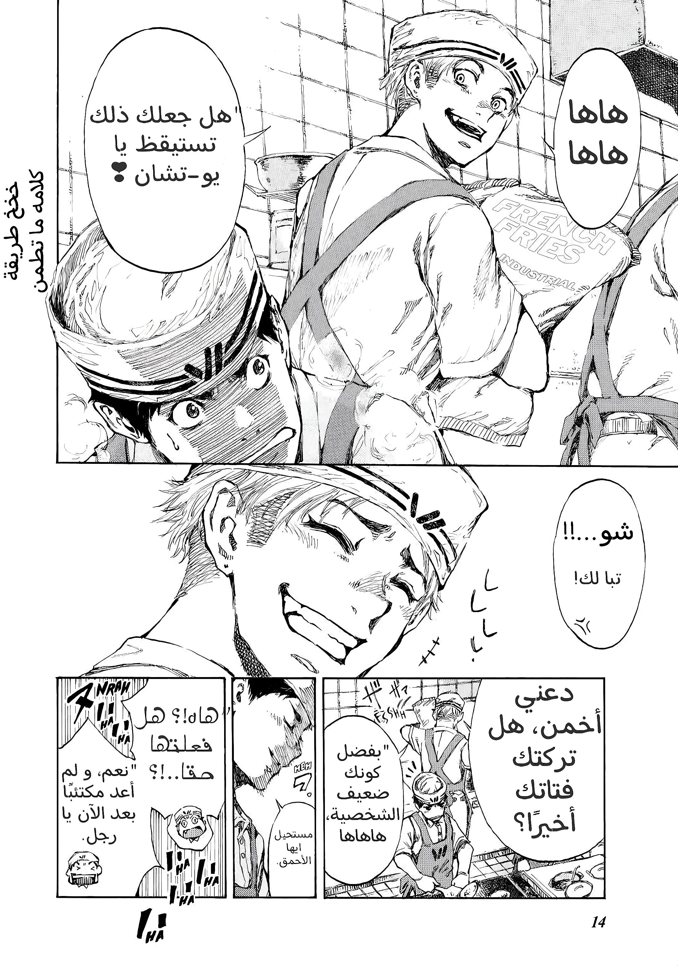 الصفحة 14