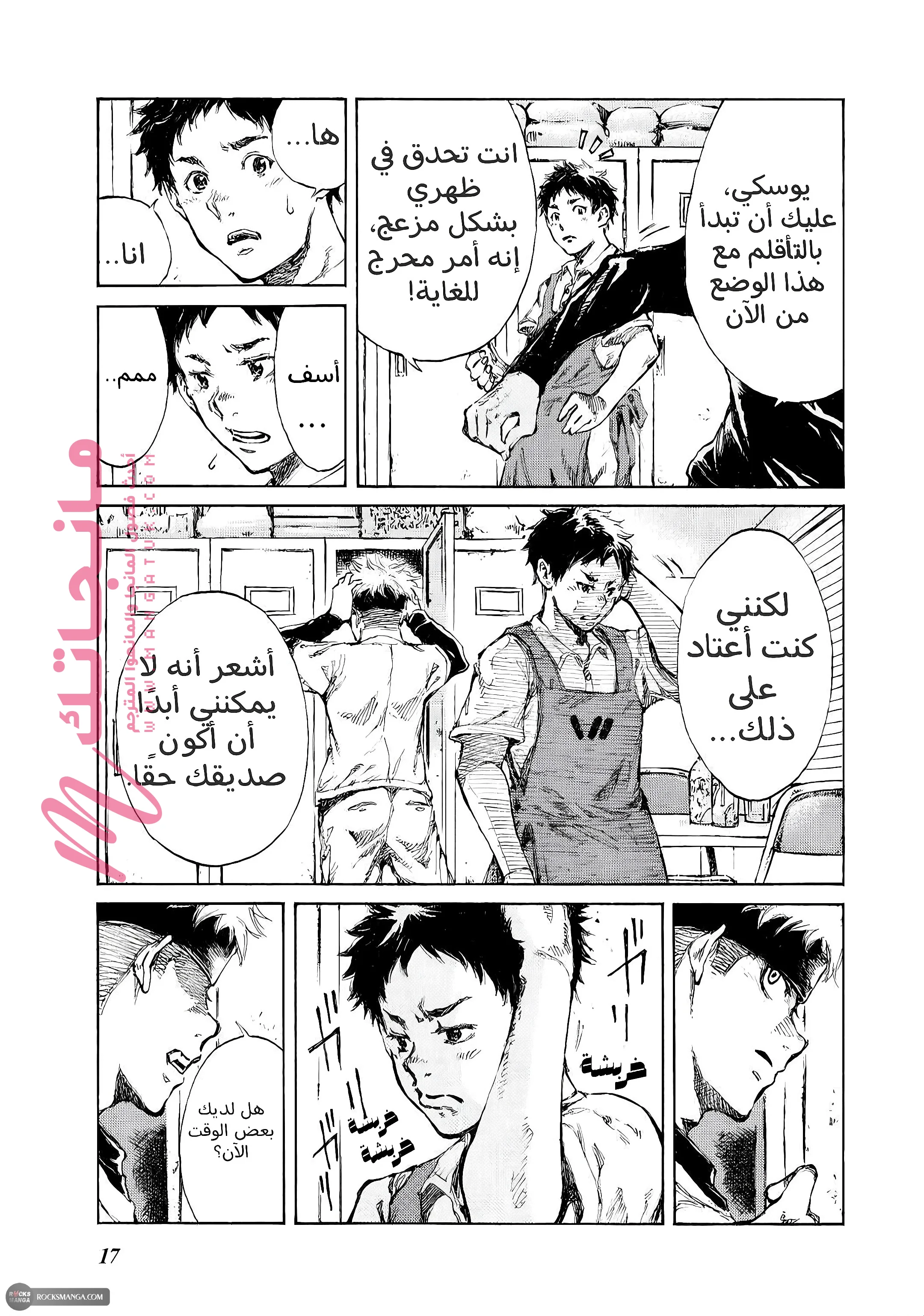 الصفحة 17