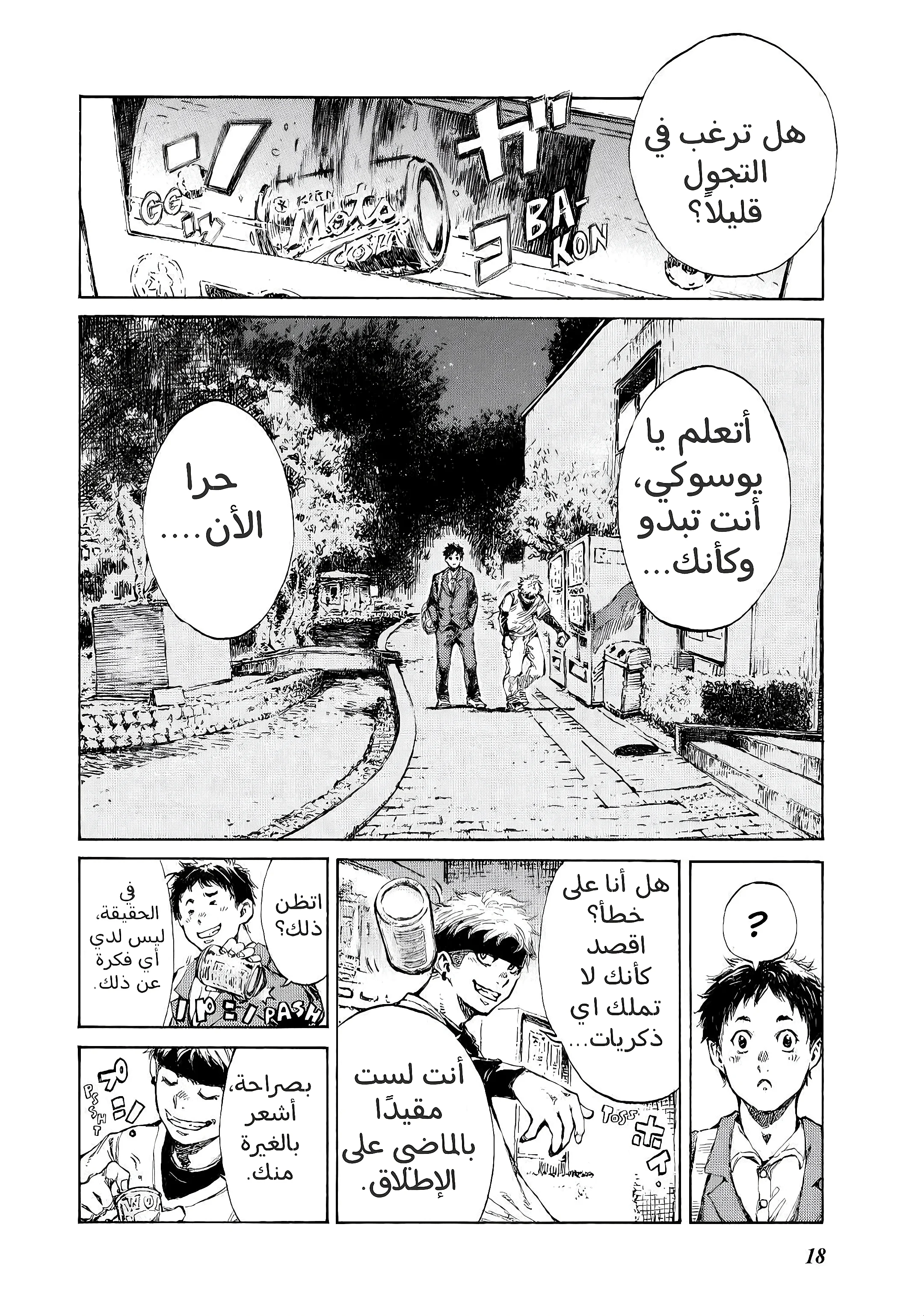 الصفحة 18