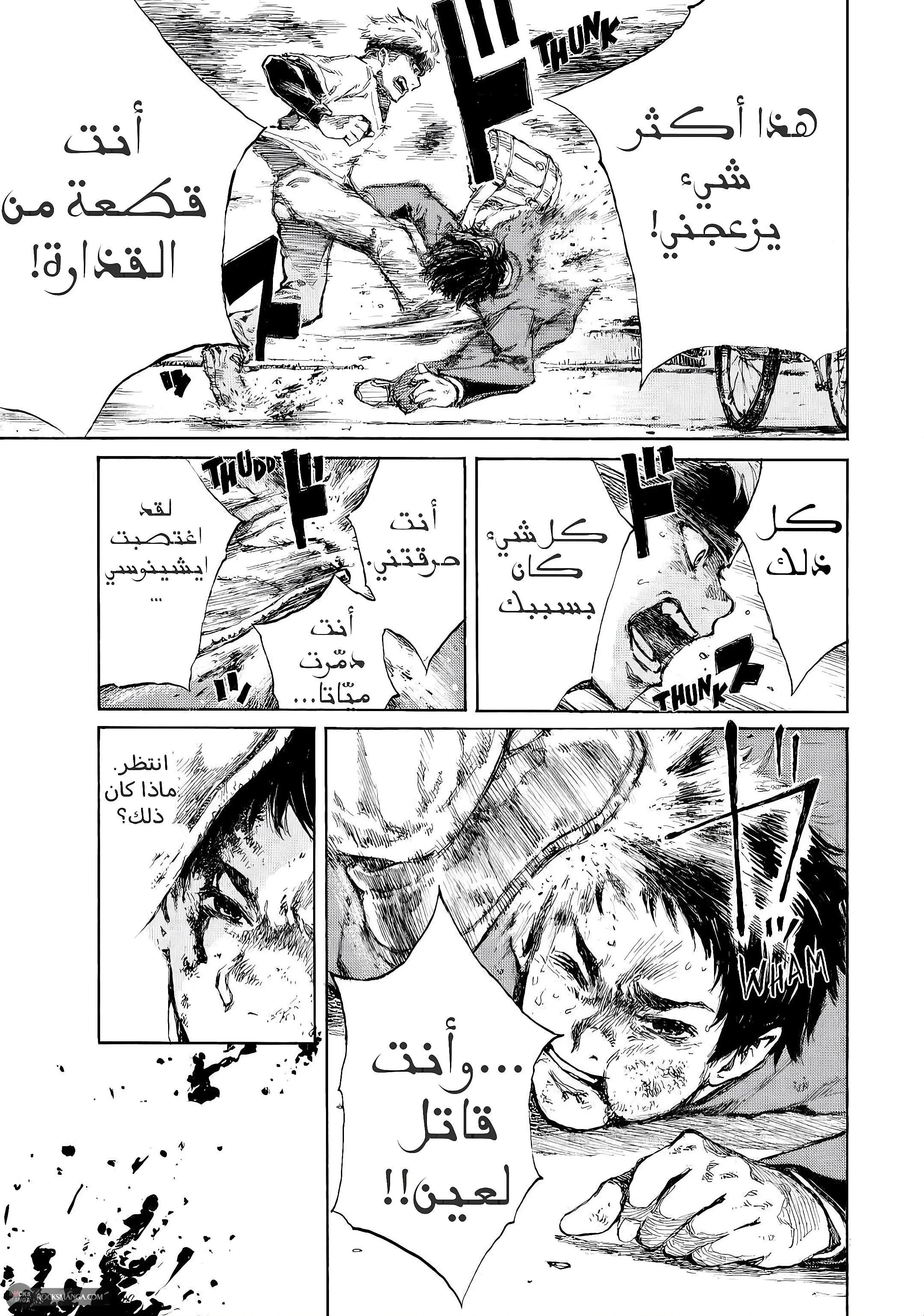 الصفحة 29