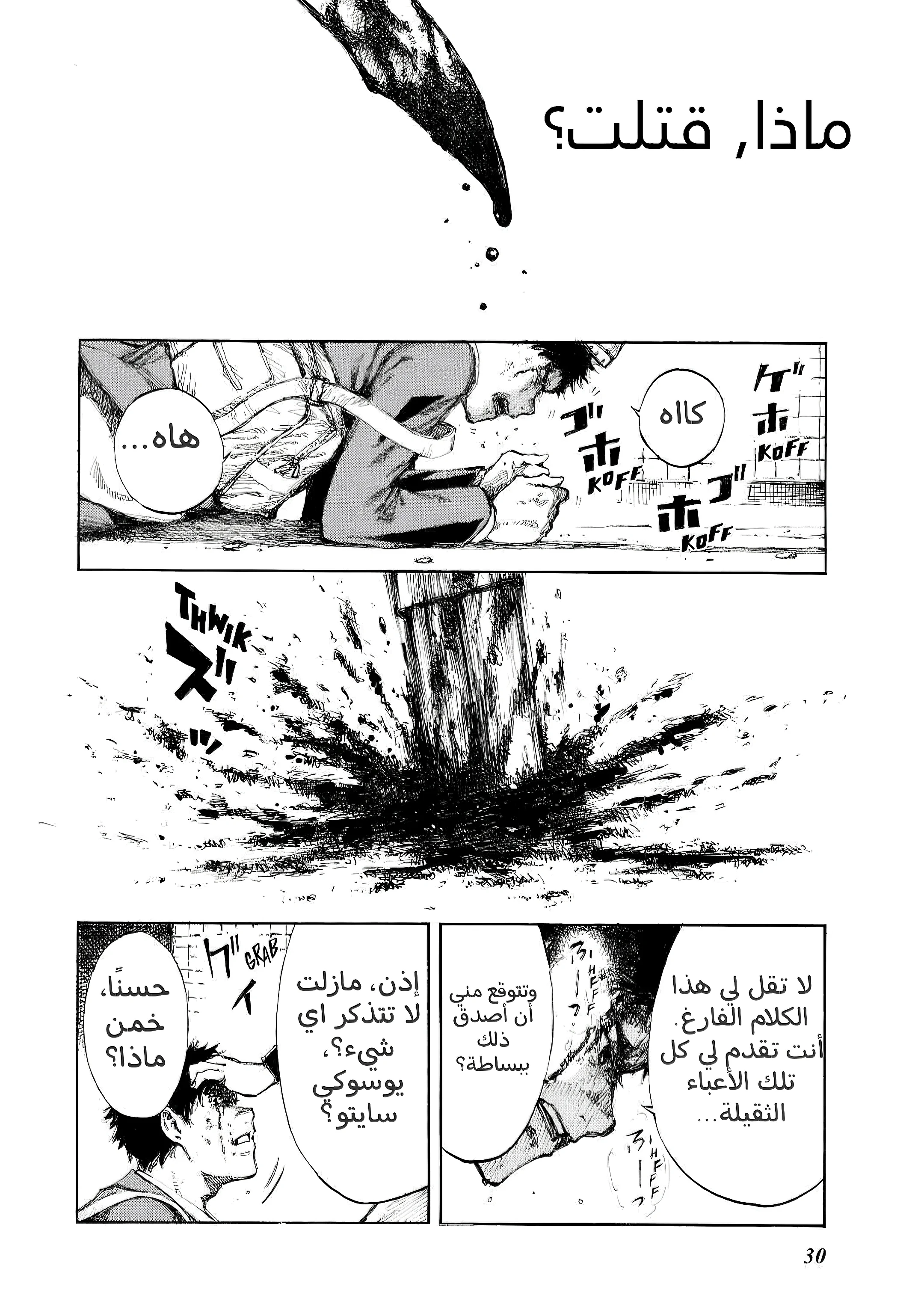 الصفحة 30