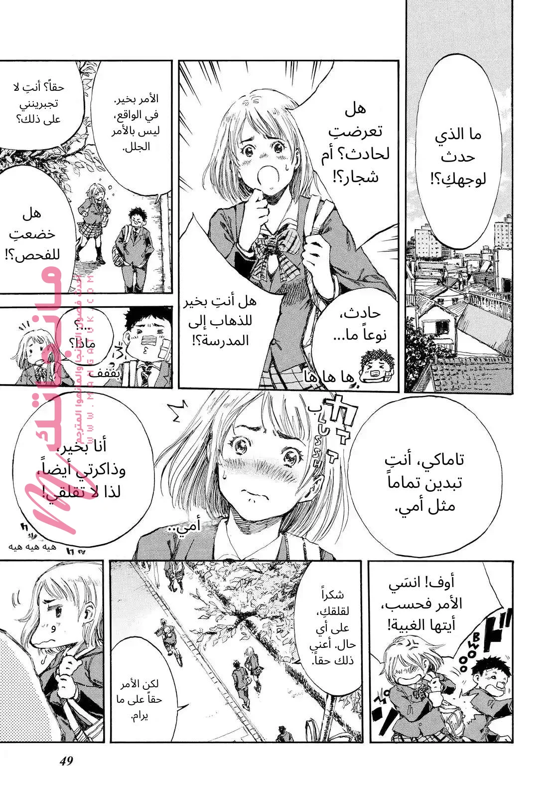 الصفحة 17