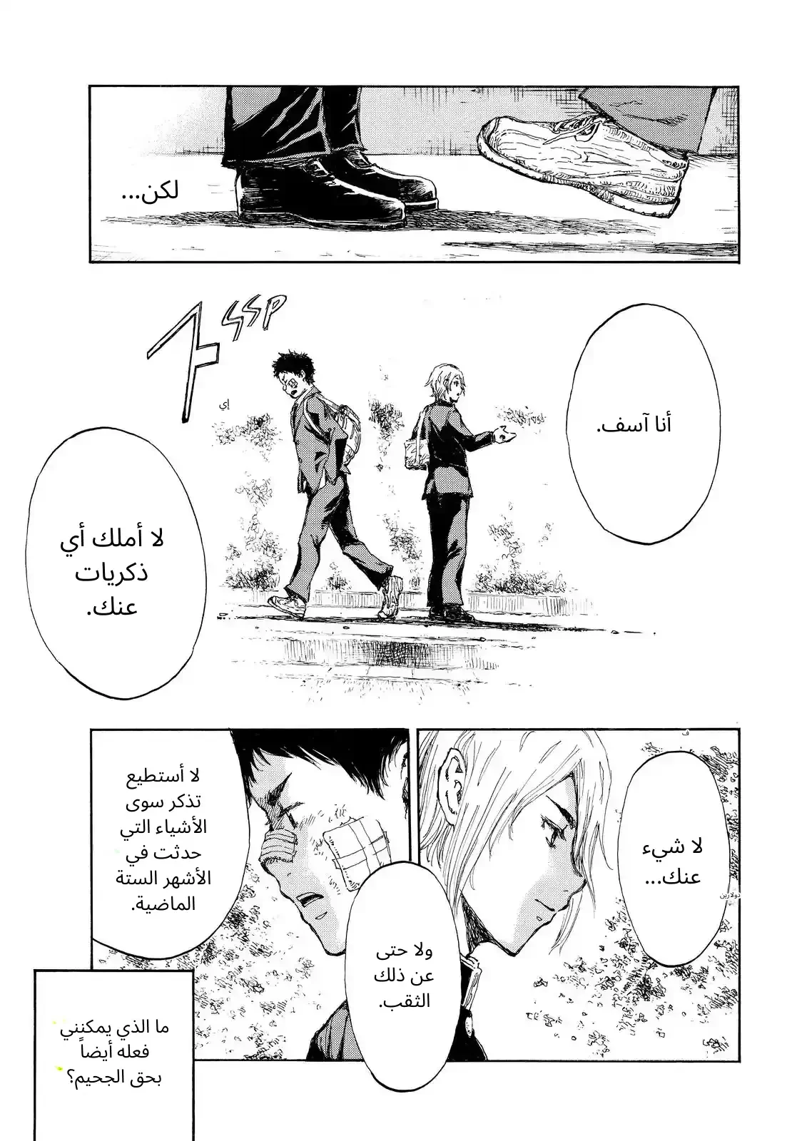 الصفحة 23