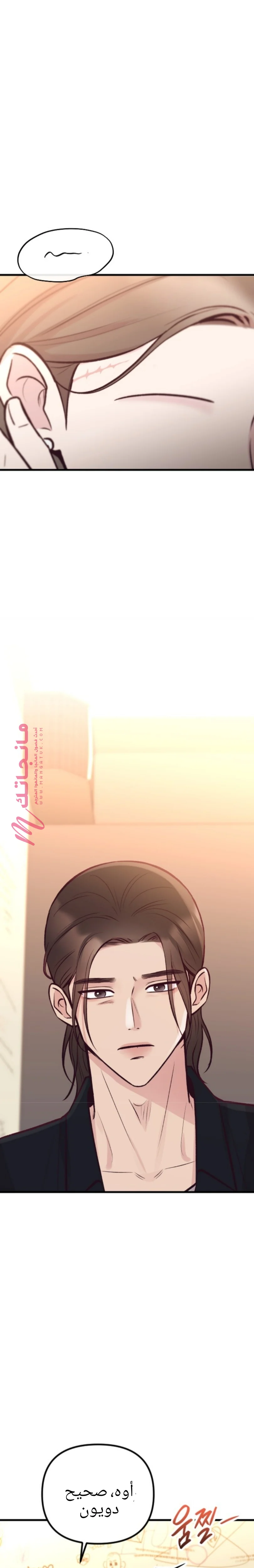الصفحة 29
