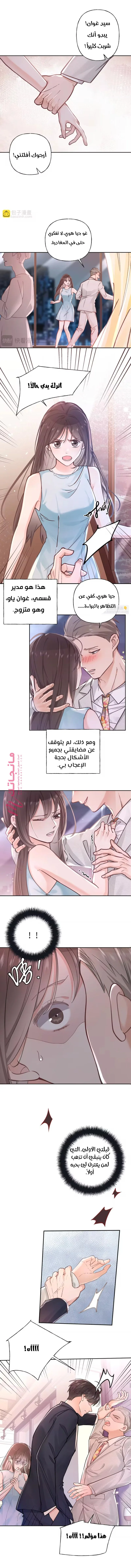الصفحة 3