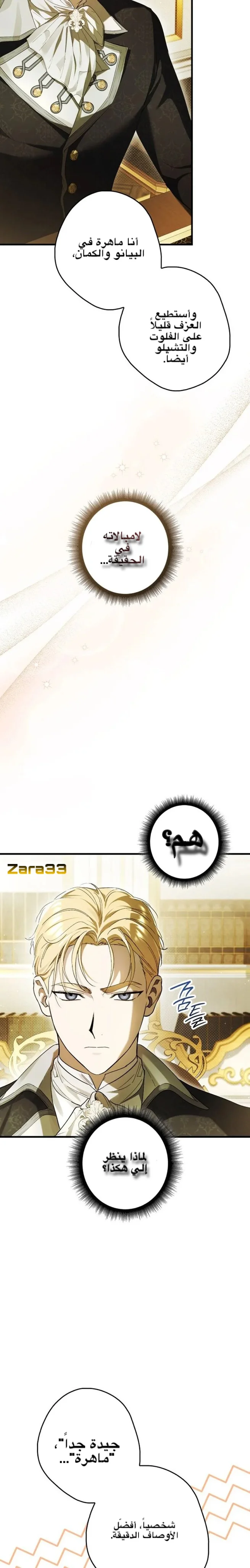 الصفحة 29