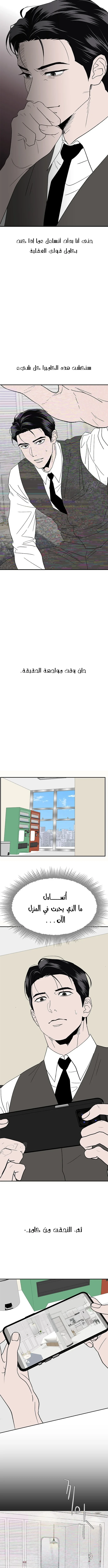 الصفحة 11