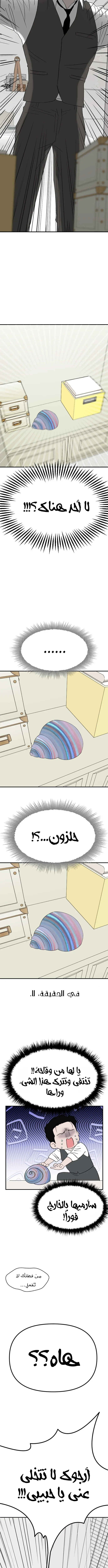 الصفحة 14