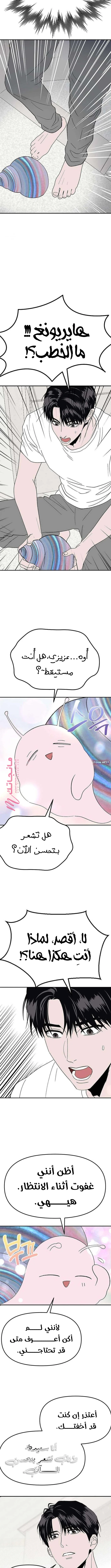الصفحة 8