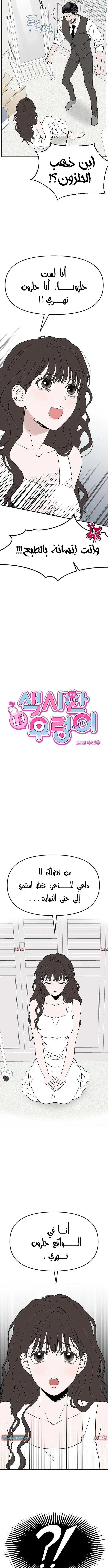 الصفحة 3