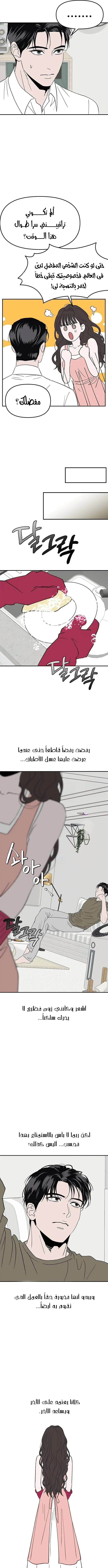 الصفحة 14