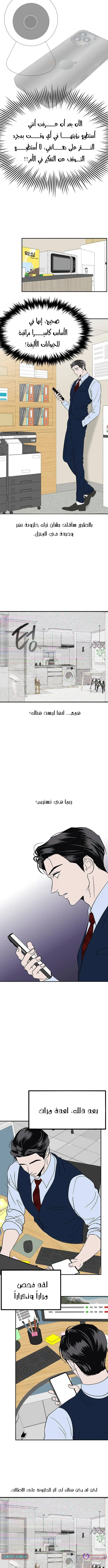 الصفحة 10