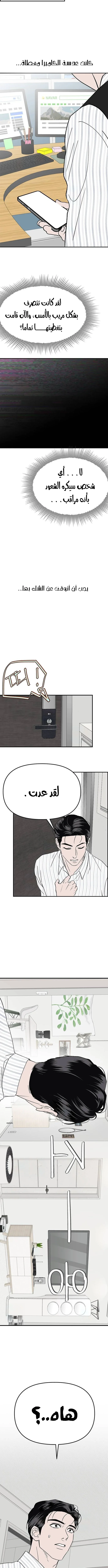 الصفحة 13