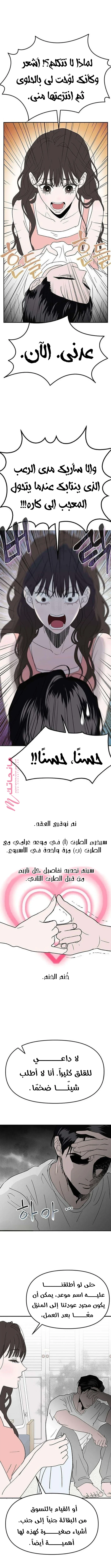 الصفحة 3