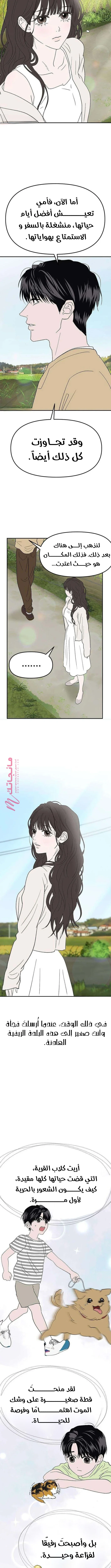 الصفحة 12