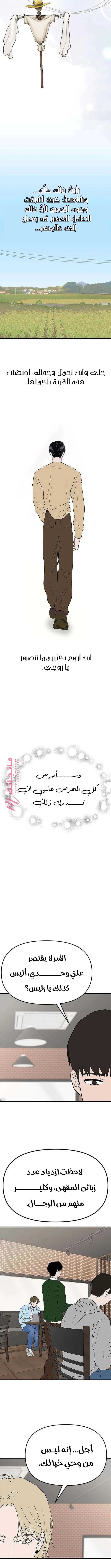 الصفحة 13