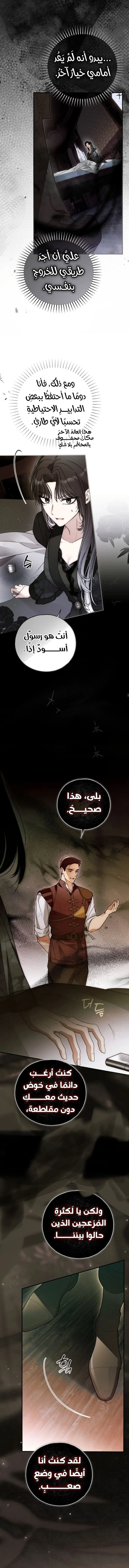 الصفحة 12