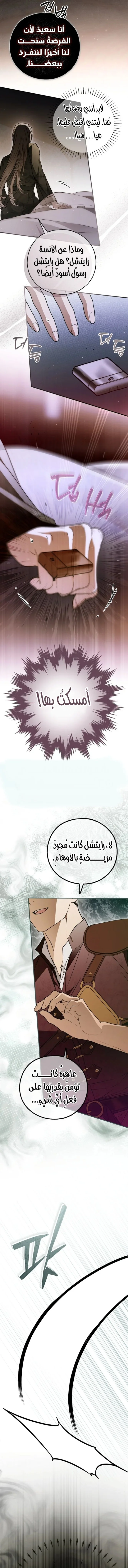 الصفحة 13