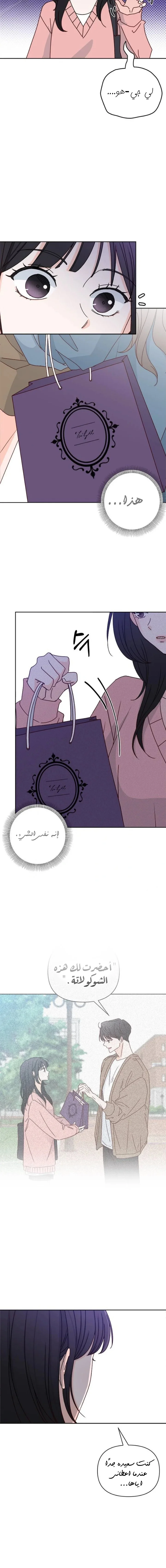 الصفحة 17