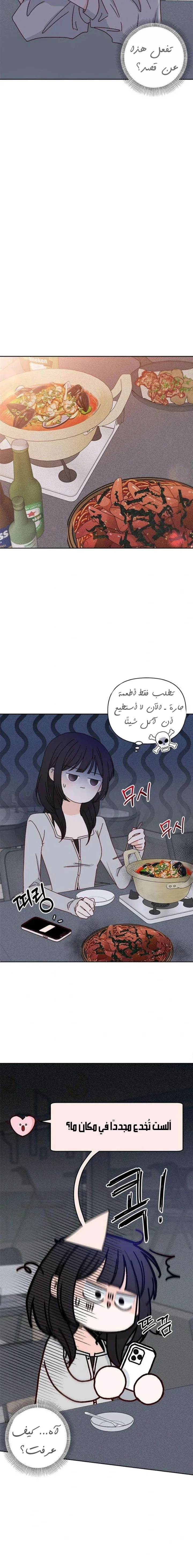 الصفحة 15