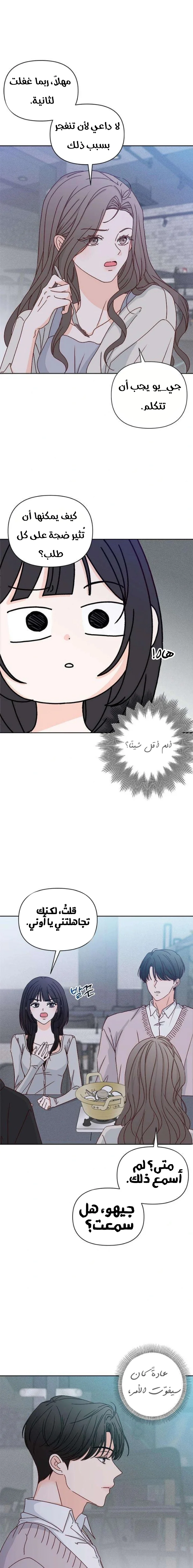 الصفحة 19