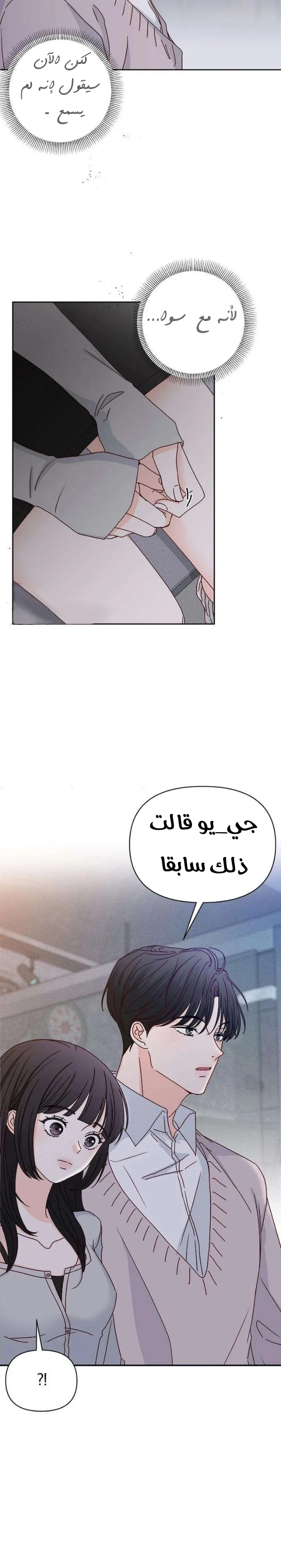 الصفحة 20