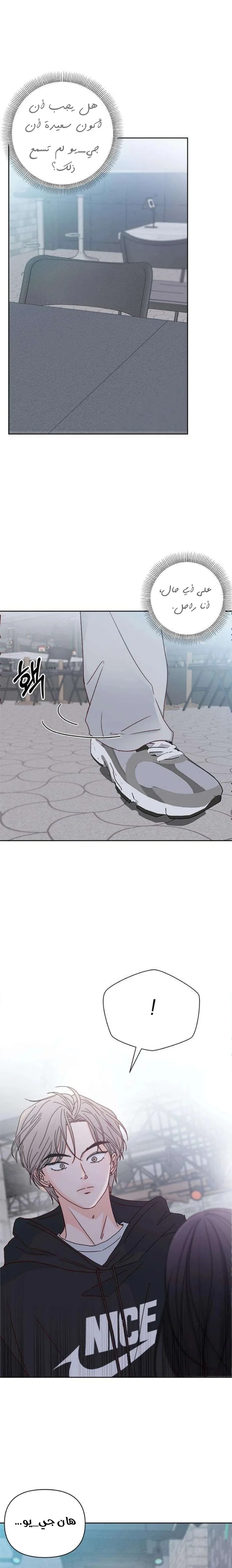 الصفحة 26