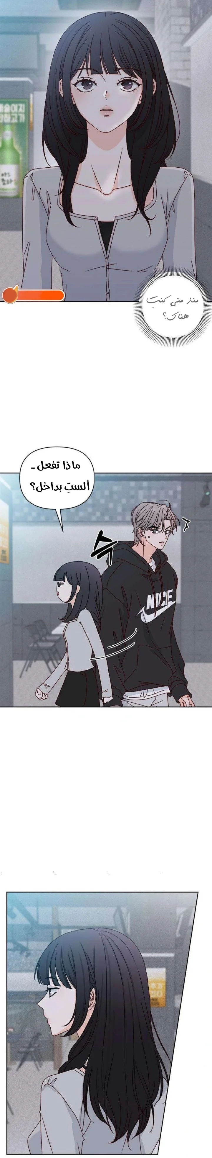 الصفحة 27