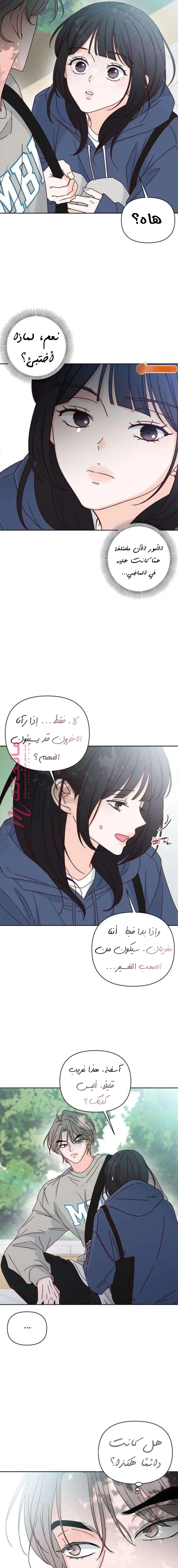 الصفحة 17