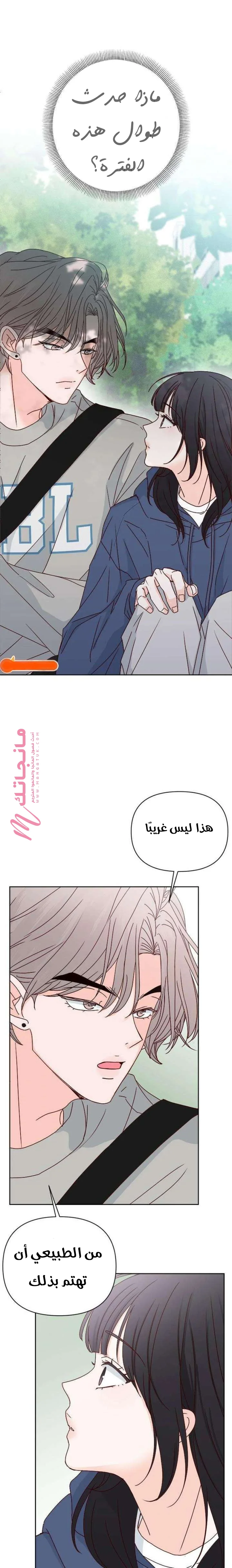 الصفحة 19