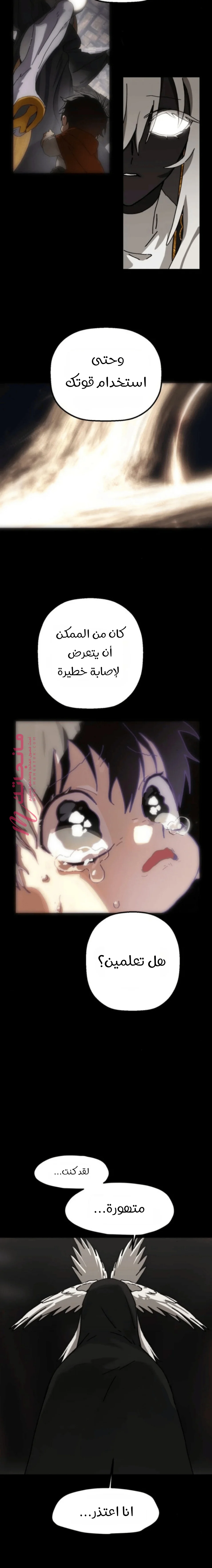 الصفحة 17