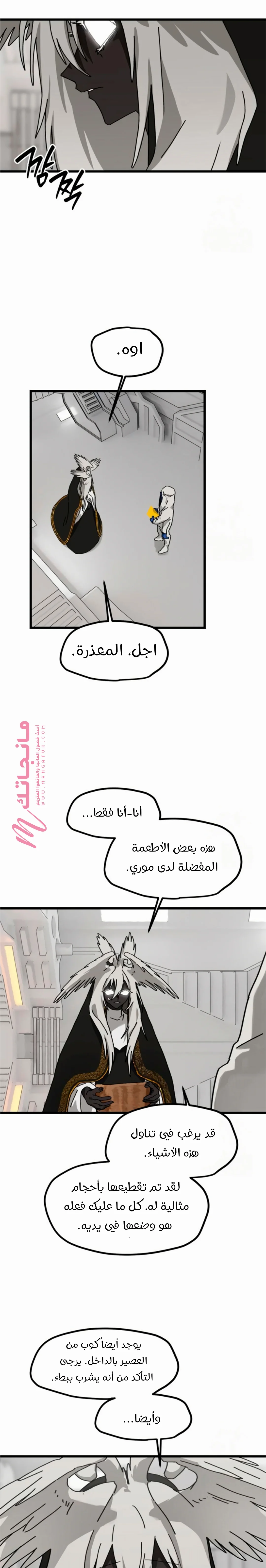 الصفحة 17