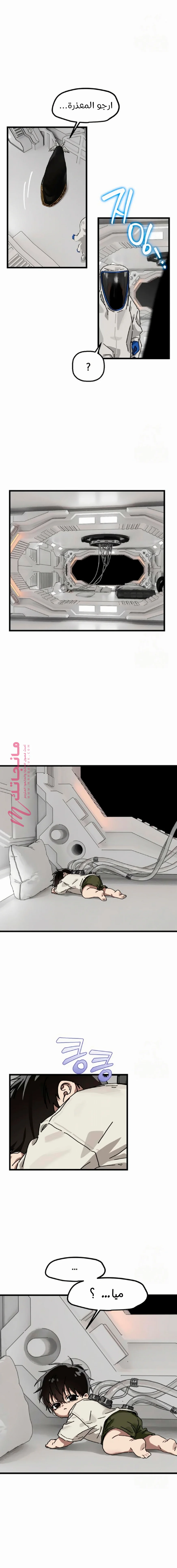 الصفحة 19