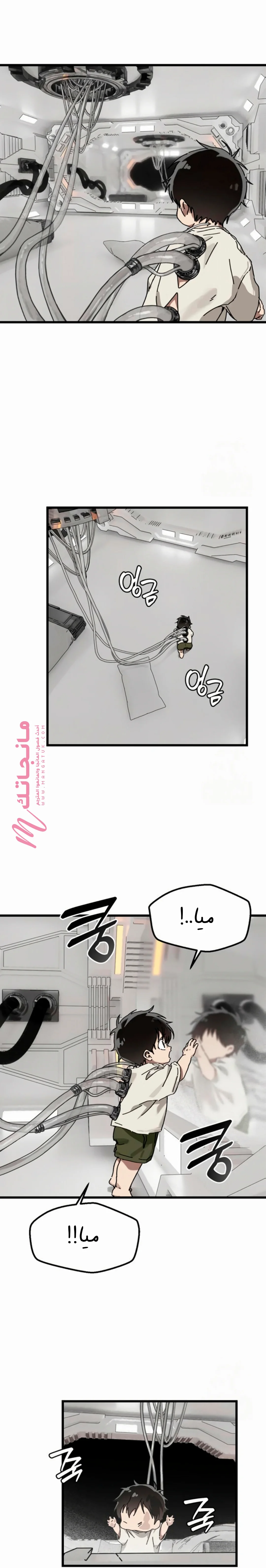 الصفحة 20