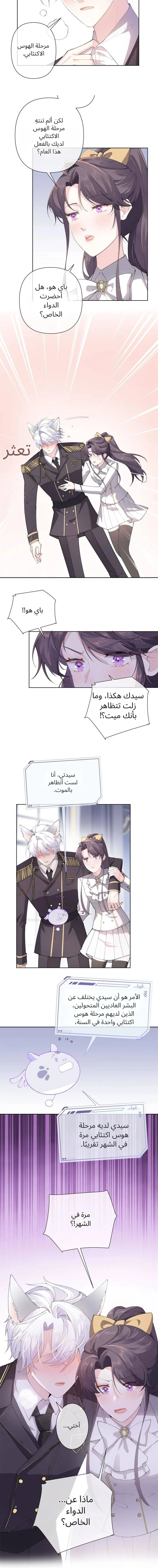 الصفحة 4