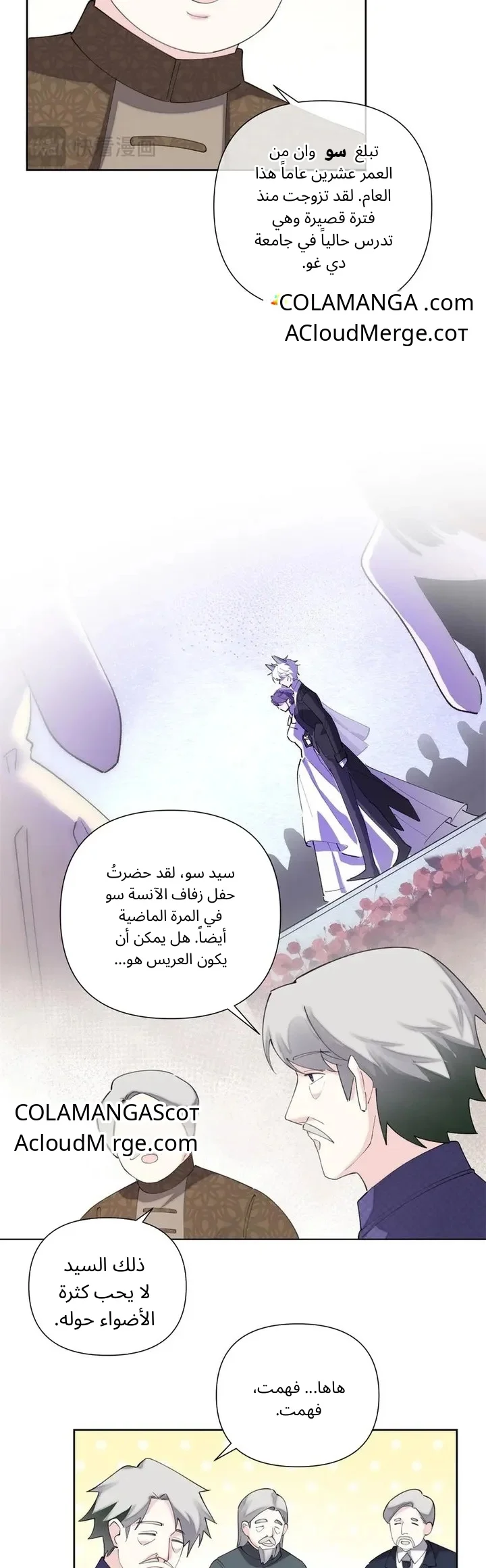 الصفحة 11