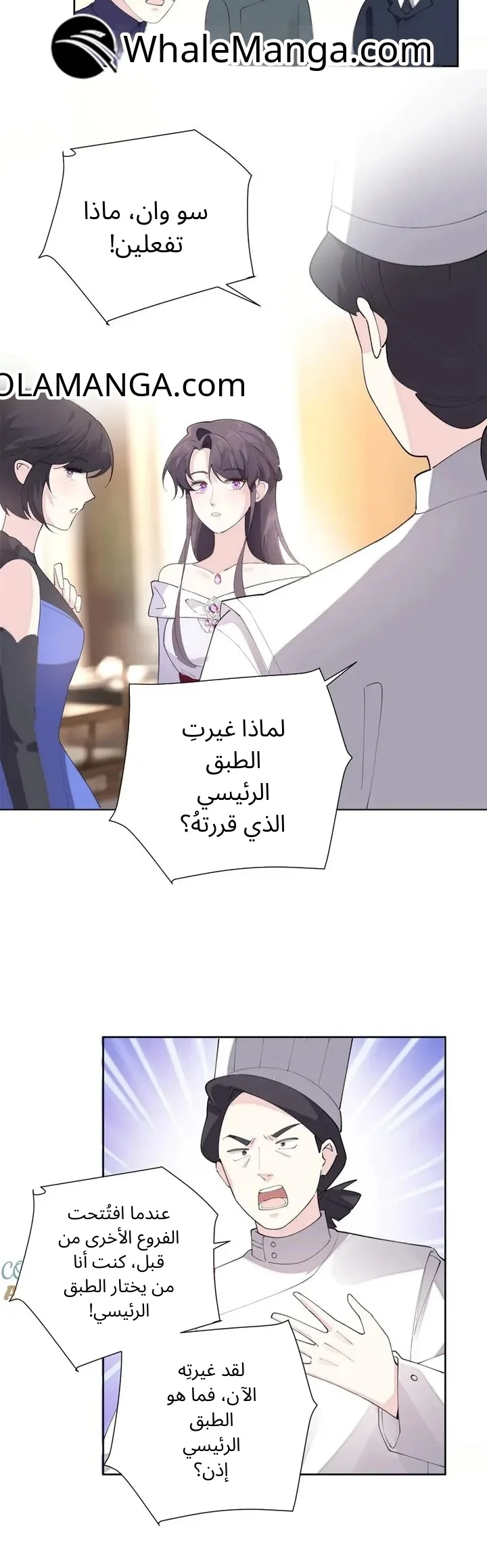الصفحة 12