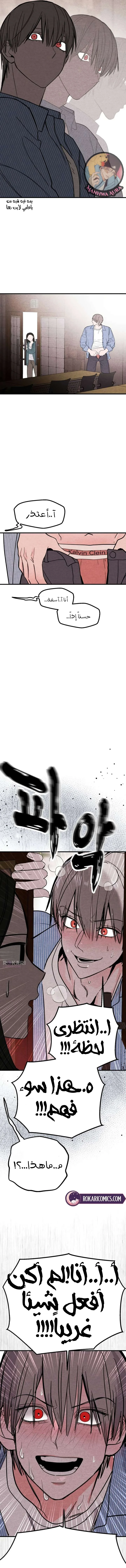 الصفحة 11