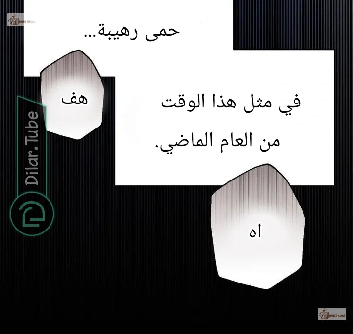 الصفحة 28