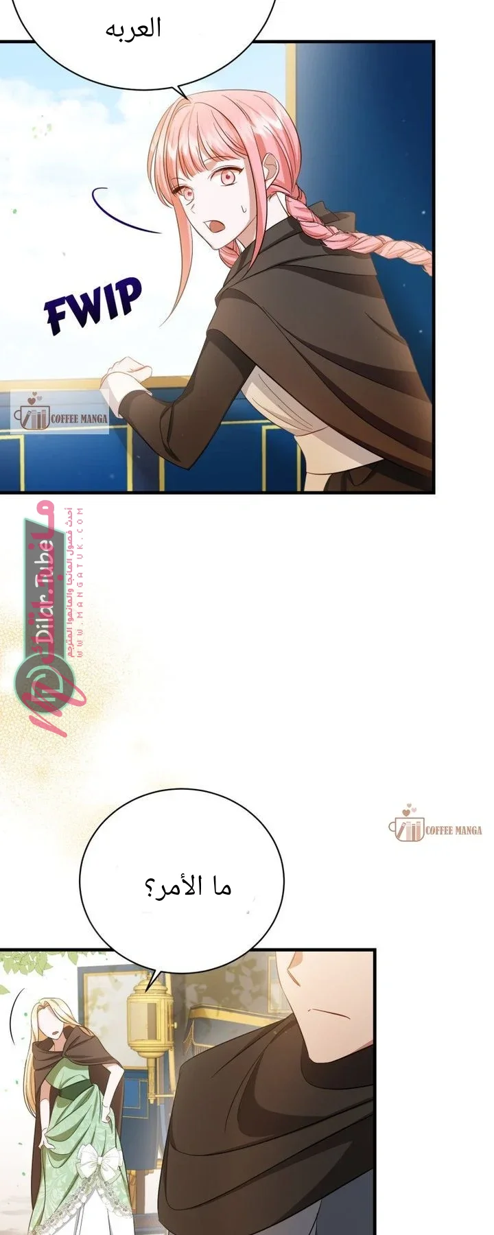 الصفحة 55