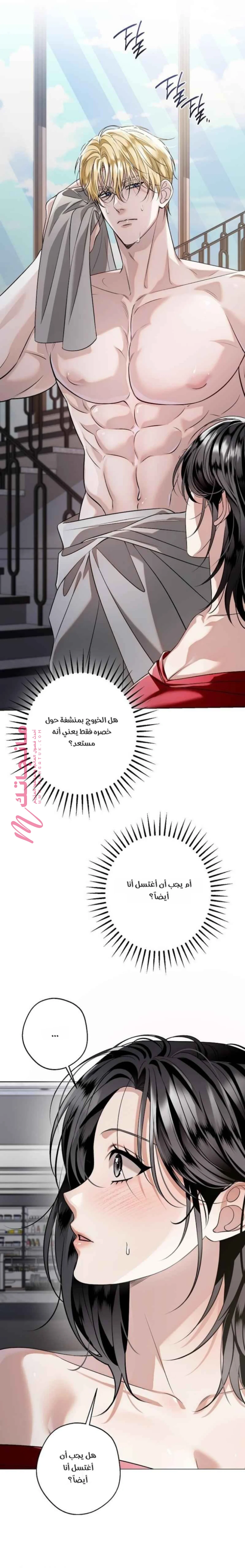 الصفحة 12